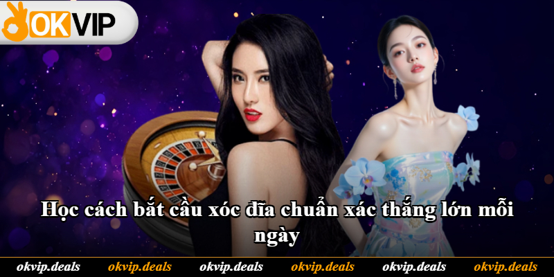 Học cách bắt cầu xóc đĩa chuẩn xác thắng lớn mỗi ngày